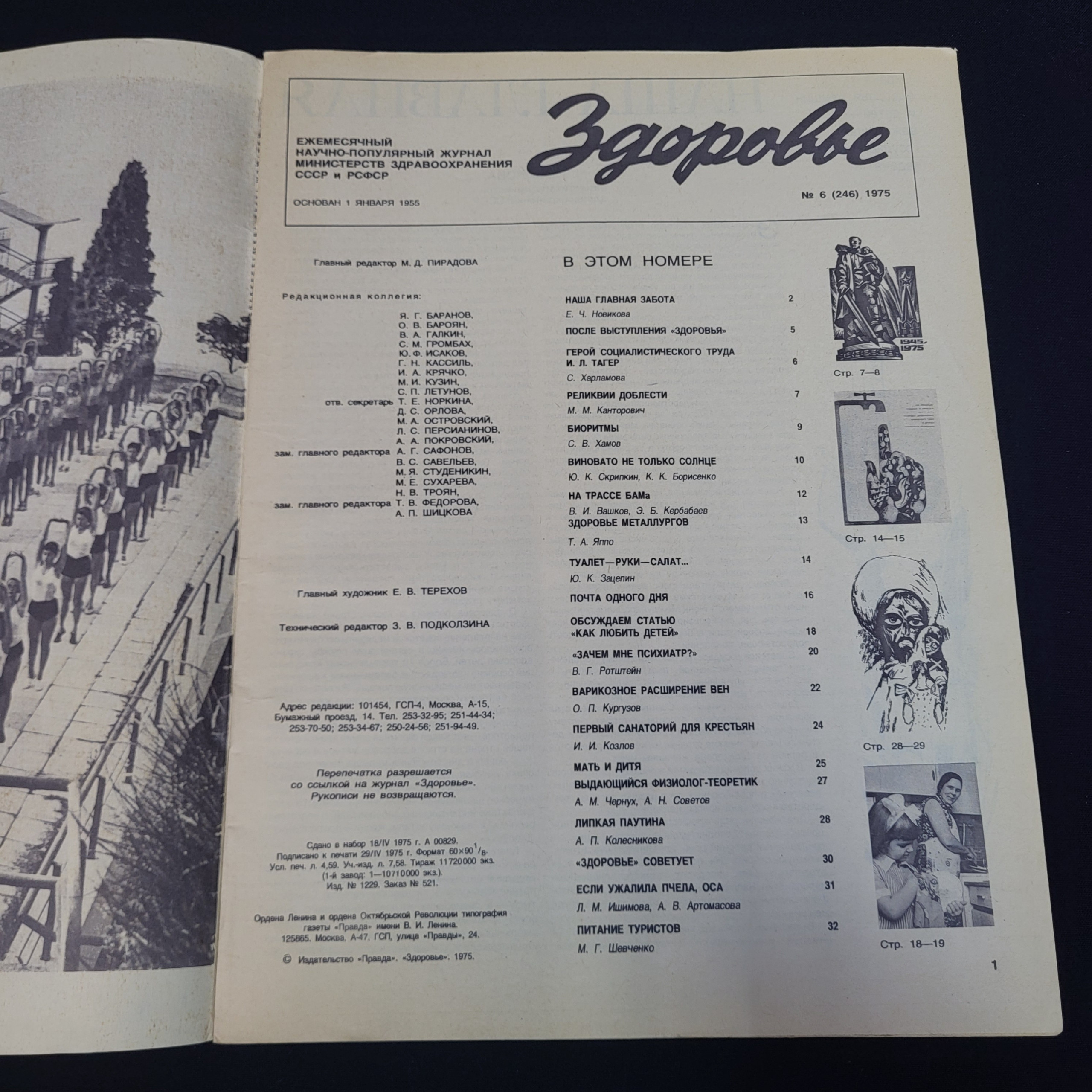 Картинка 3