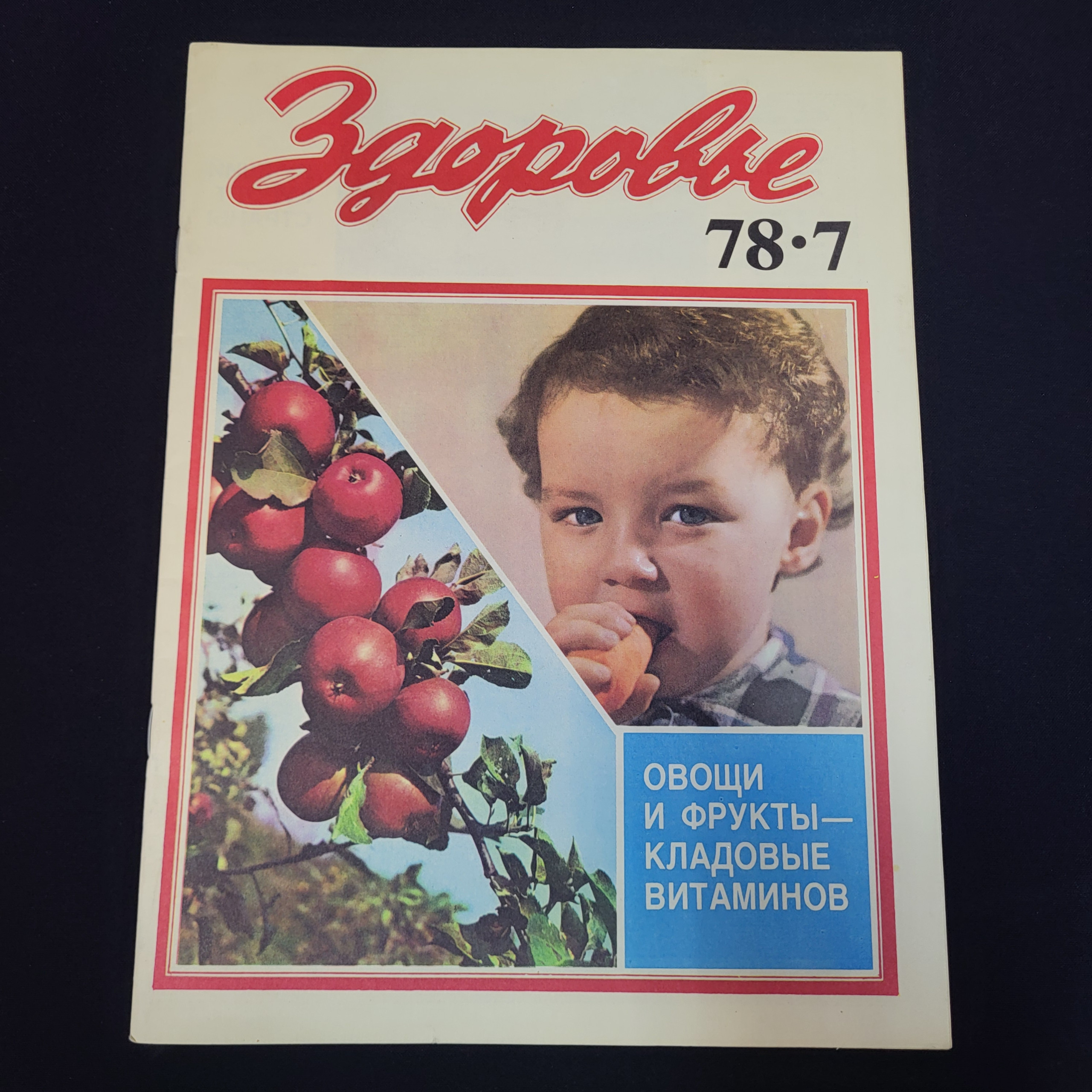 Картинка 1