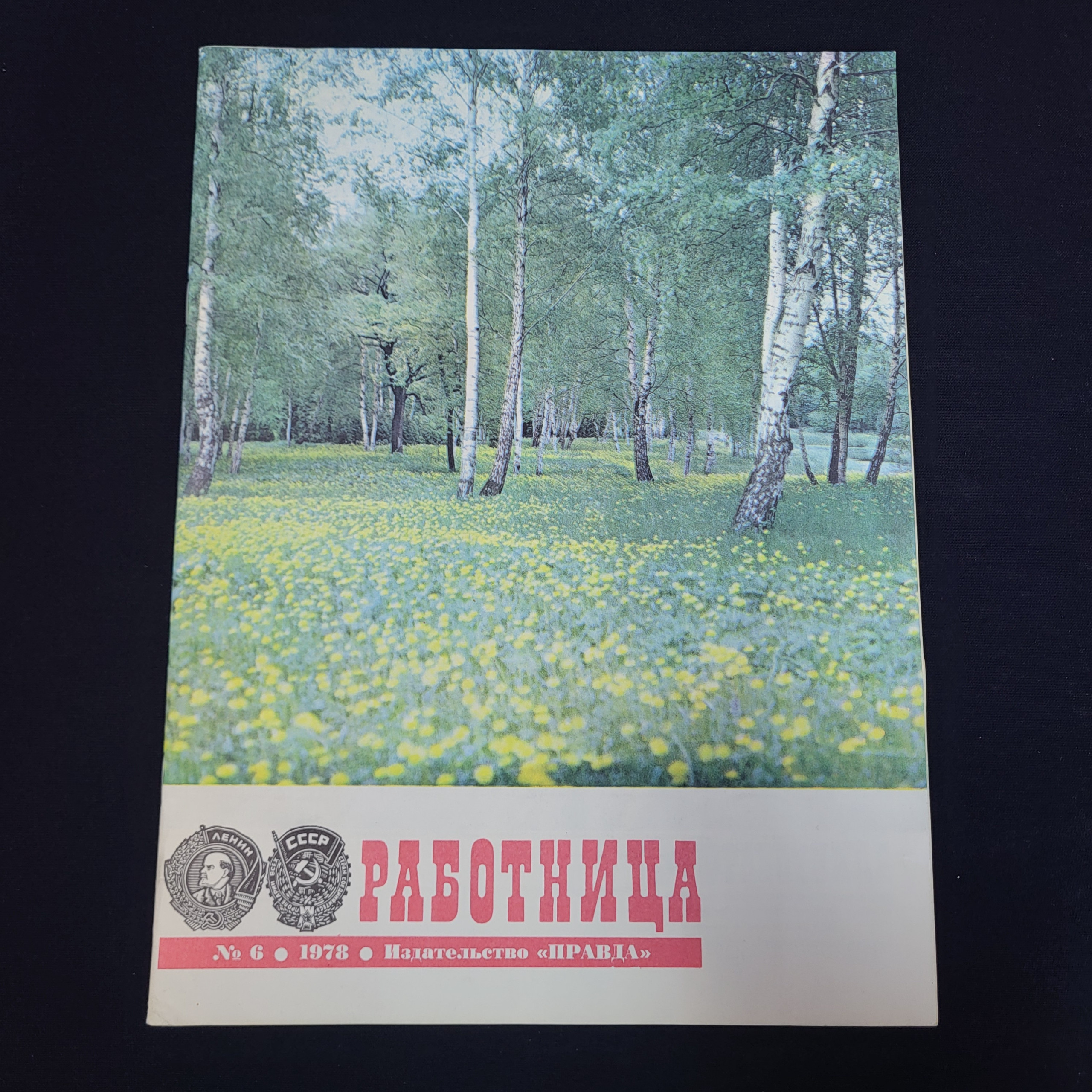 Картинка 1