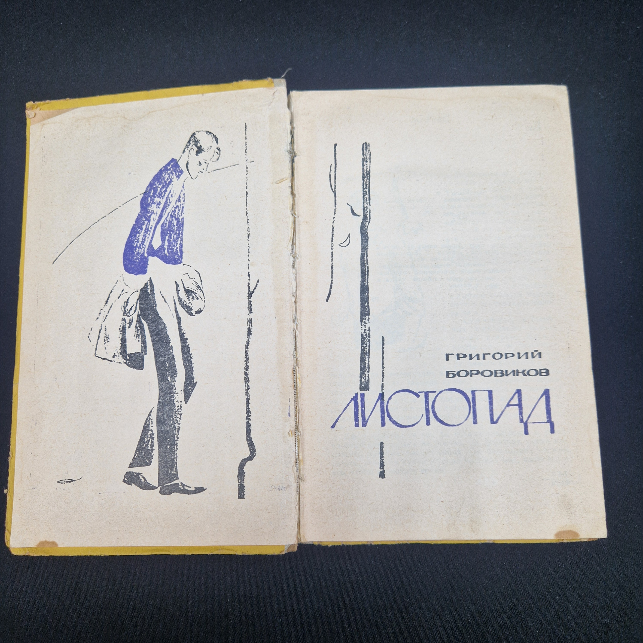 Картинка 2