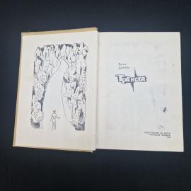 Картинка 2