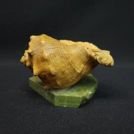 Картинка 3