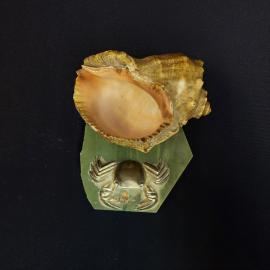 Картинка 6