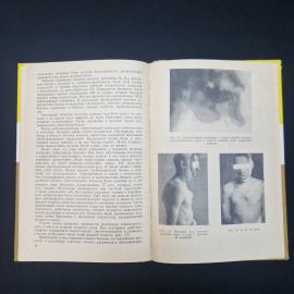 Картинка 3