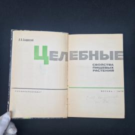 Картинка 2