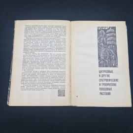 Картинка 3