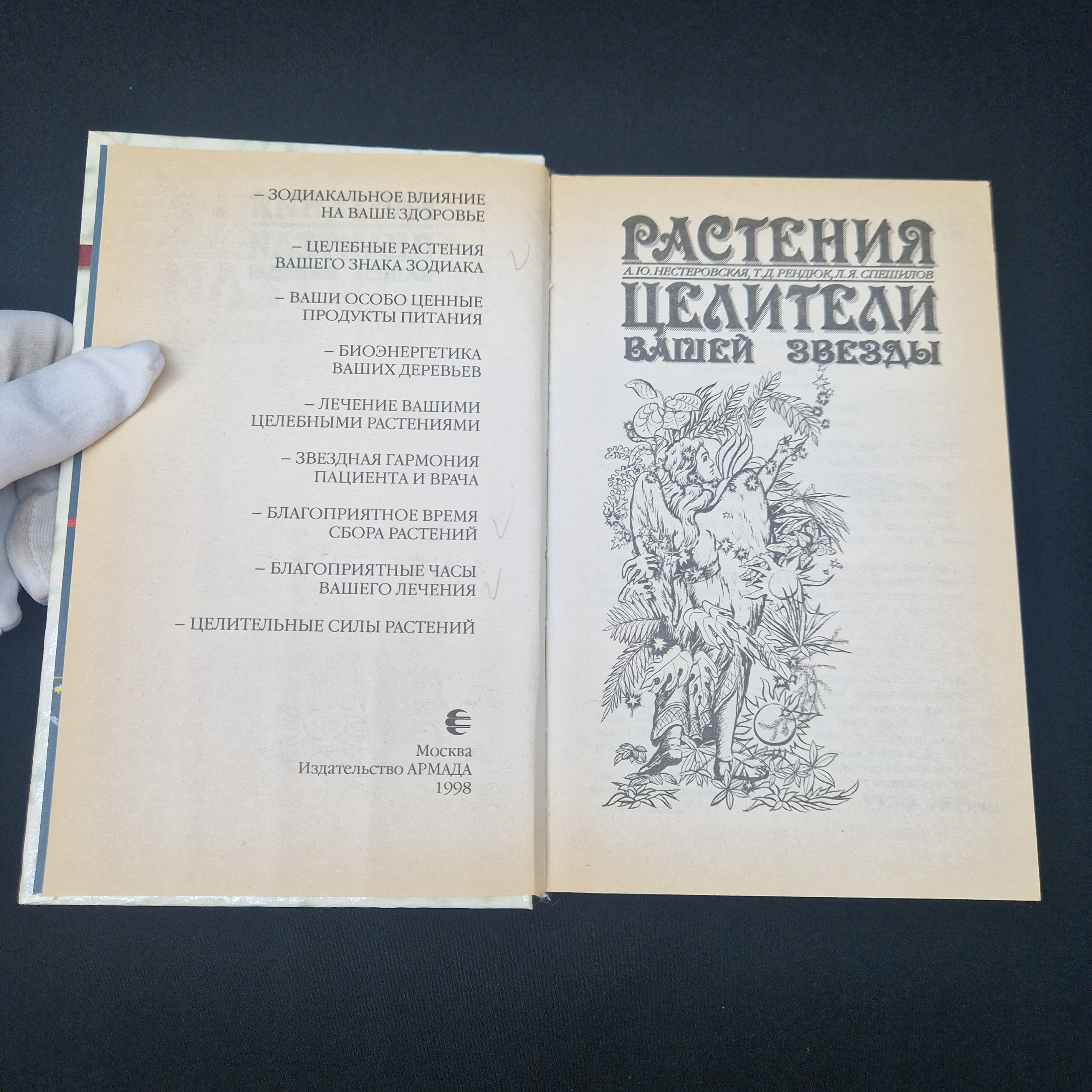 Картинка 2