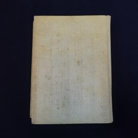 Картинка 3