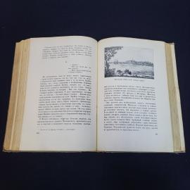 Картинка 6