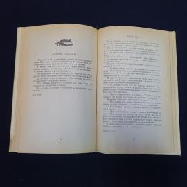 Картинка 5