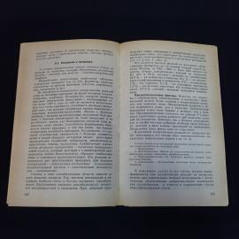 Картинка 6