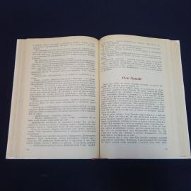 Картинка 6