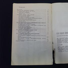 Картинка 5