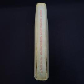Картинка 2