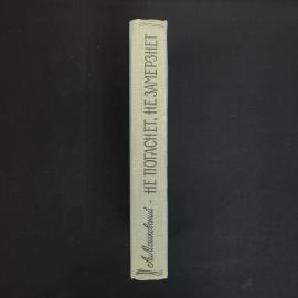 Картинка 2