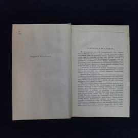 Картинка 4