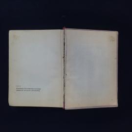 Картинка 4