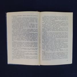 Картинка 5