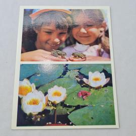 Открытка советская СССР. Дети и лягушки, кувшинки на пруду, природа. Винтаж открытка