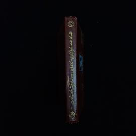 Картинка 2