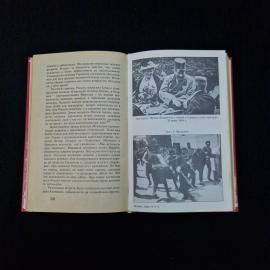 Картинка 6