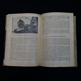 Картинка 8
