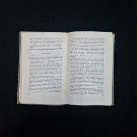 Картинка 6
