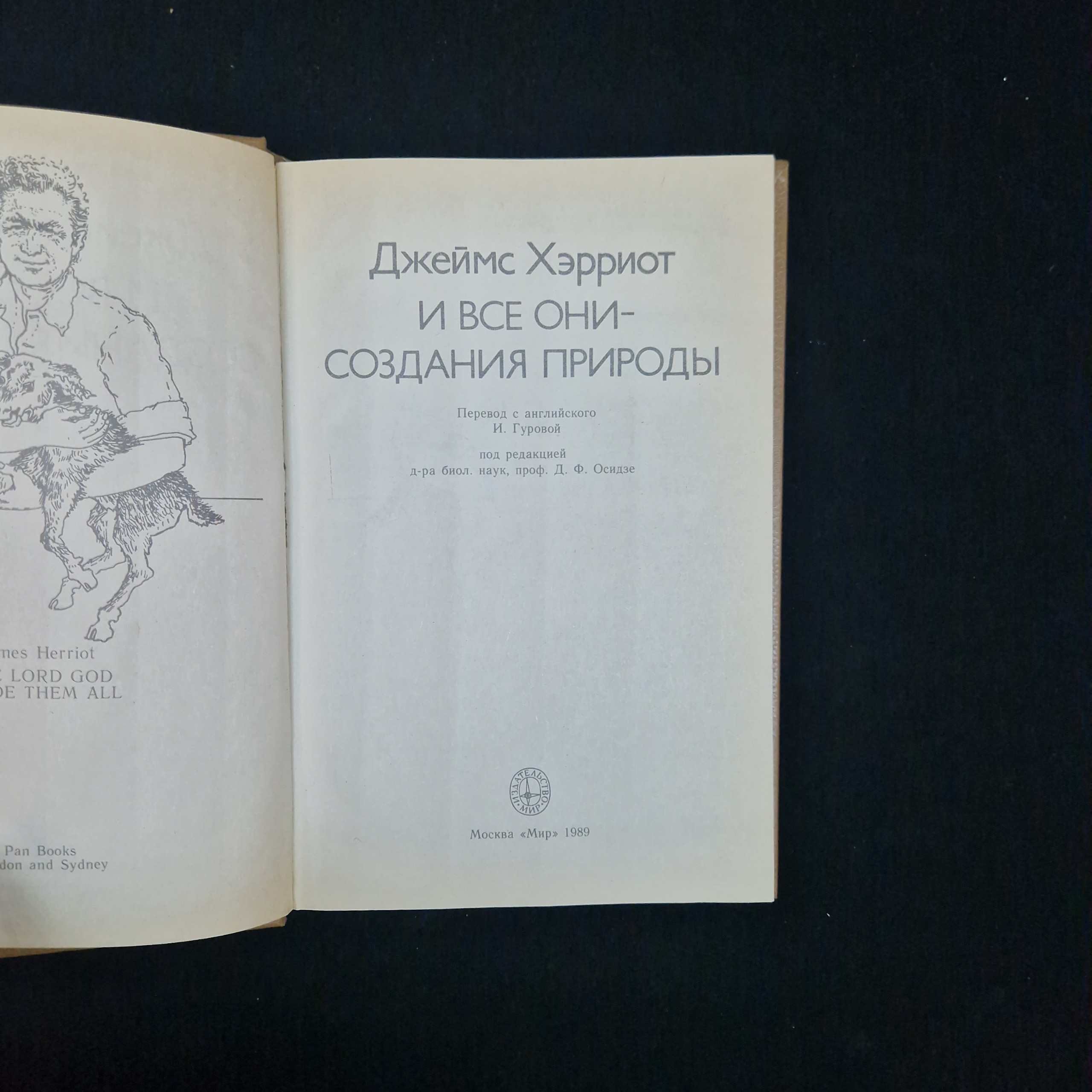 Картинка 4