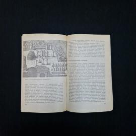 Картинка 6