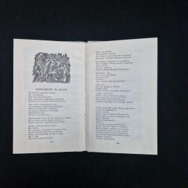 Картинка 6