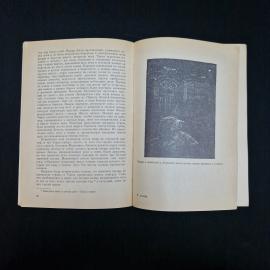 Картинка 6