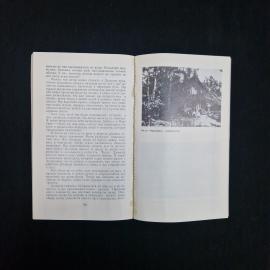 Картинка 6
