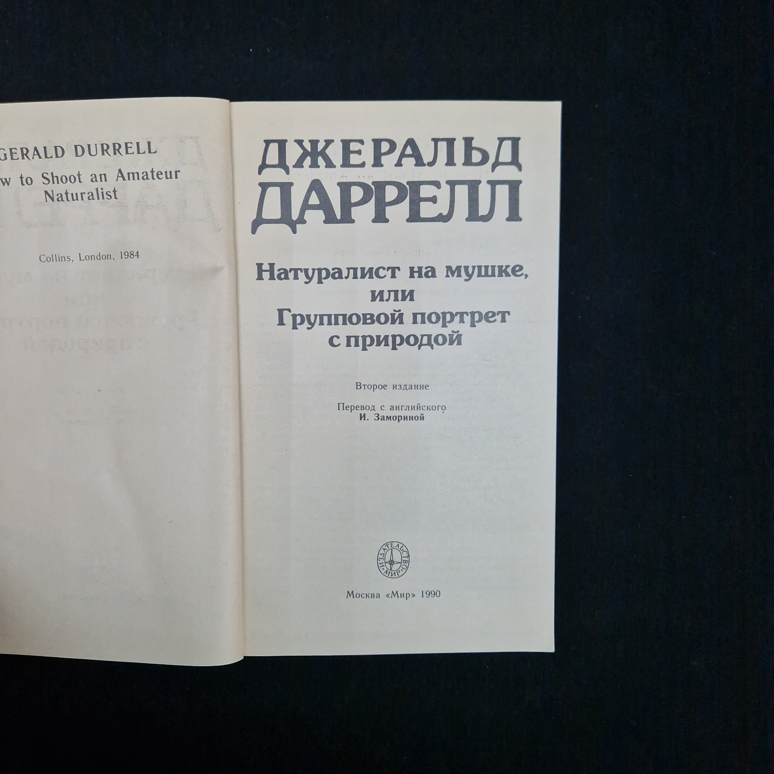 Картинка 4