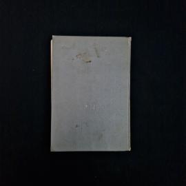 Картинка 3