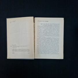 Картинка 5