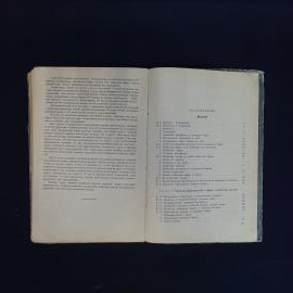 Картинка 6