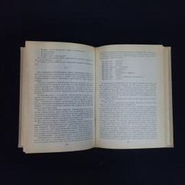 Картинка 5