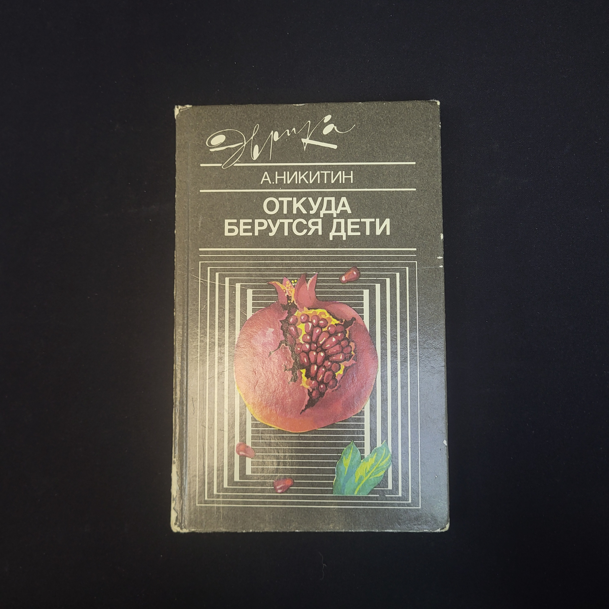 Картинка 1