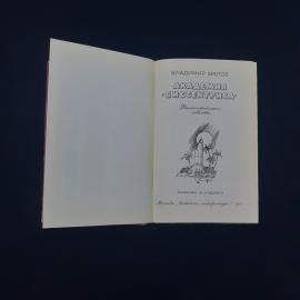 Картинка 3