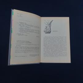 Картинка 3