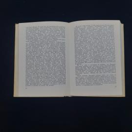 Картинка 4