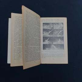 Картинка 5