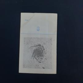 Картинка 2