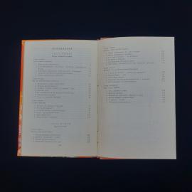 Картинка 5