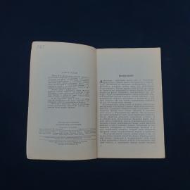 Картинка 5