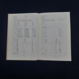 Картинка 4