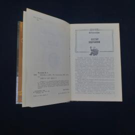 Картинка 3