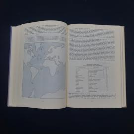 Картинка 4