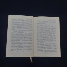 Картинка 4