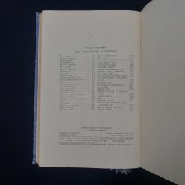 Картинка 5